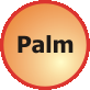 Palm-Seite (Palm-Losungen)